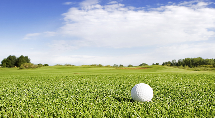 골프공과 필드