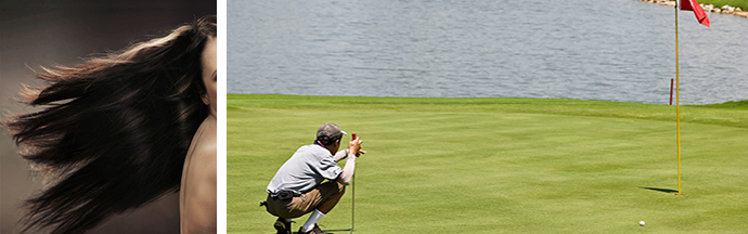 머리카락과 필드