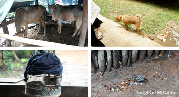 동물과 인간이 하나되어 살아가는 자연스러운 삶. 한번 만끽하고 싶지 않으세요?