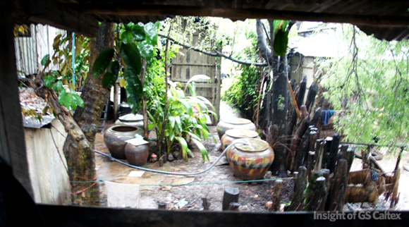 비를 피하지도 꺼려하지도 않습니다. 그저 있는 그대로 받아들이는 것이죠.