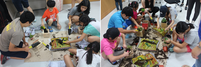 서울대 햇빛봉사단과 함께하는 화분만들기